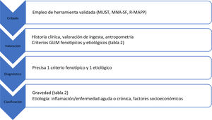 Proceso de cribado y valoración nutricional en AP (elaboración propia).Modificada de Cederholm et al.25.