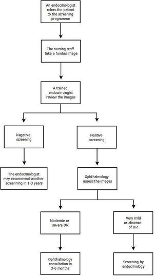 Flow chart of the diabetic retinopathy telemedicine screening program. DR, diabetic retinopathy.