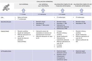 Cronograma de seguimiento multidisciplinar posquirúrgica del paciente con un tumor hipofisario. Tiempos recomendados para las revisiones médicas, determinaciones hormonales y evaluación de las pruebas de imagen. AP: anatomía patológica; GH: hormona del crecimiento; IA: insuficiencia suprarrenal; RM: resonancia magnética. * Siempre que haya afectación visual. ** La evaluación de la sustitución del déficit de la GH no se plantea hasta el año poscirugía, una vez constatada estabilidad y correcta suplementación del resto de ejes hipofisarios.