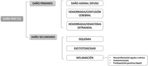 Fisiopatología del daño hipofisario tras un TCE.