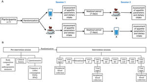 Study procedure. (A) Participants were randomly assigned to receive the intervention in either the AB or BA sequence. Participants in the AB sequence received breakfast with simple water and those in the BA sequence received breakfast with coffee during phase 1. This was followed by a 7-day washout period. In phase 2, those in the AB sequence received breakfast with coffee and those in the BA sequence received breakfast with water. In both phases, appetite was measured with ghrelin and cholecystokinin parameters and with VAS, at fasting (VAS −30′), immediately after breakfast (VAS 0′) and every 30min until 180min (VAS 30′ to VAS 180′). (B) Detailed procedure of the study. TEFQ: Three Factor Eating Questionnaire; IPAQ: International Physical Activity Questionnaire; VAS: visual analog scales.