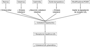 Principales mecanismos farmacológicos para disminuir la concentración de colesterol LDL. LDL: lipoproteína de baja densidad; PCSK9: proproteína convertasa subtilisina/kexina 9.