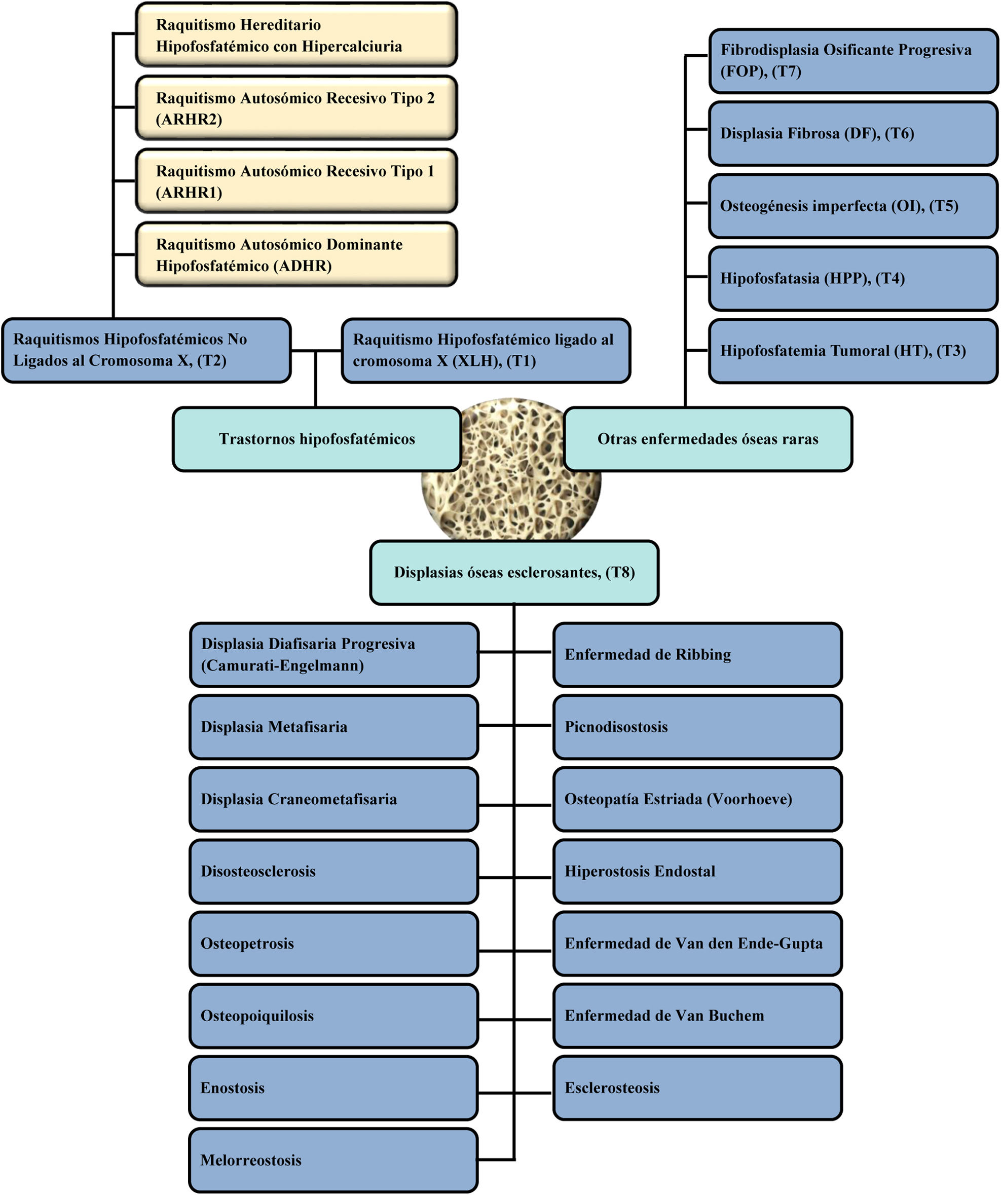 fig0005