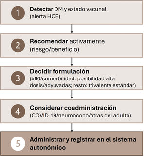 Algoritmo de actuación propuesto para la vacunación antigripal en personas con diabetes. DM: diabetes mellitus; HCE: historia clínica electrónica.