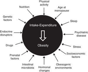 Obesity as multifactorial disease.