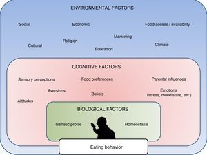Principal determinants of eating behavior, including internal biological factors, personal cognitive factors, and environmental or external factors.