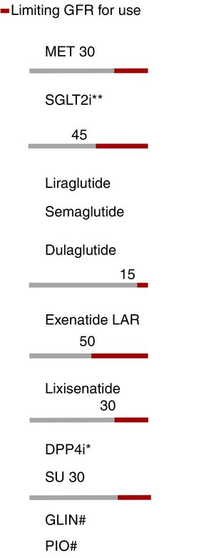 Adjustment of antidiabetic therapies according to renal function. The red line marks the limiting glomerular filtration rate (GFR) for the use of a given drug. eGFR: Estimated glomerular filtration rate. *Dose adjustment in chronic kidney disease (CKD), except linagliptin. **Dapagliflozin eGFR>60. #No dose adjustment required in CKD. In advanced kidney disease, monitor the repaglinide dose due to the risk of hypoglycemia.