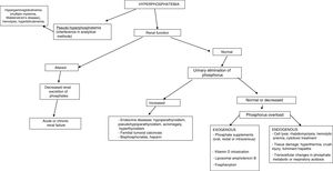 Diagnostic management of hyperphosphatemia.