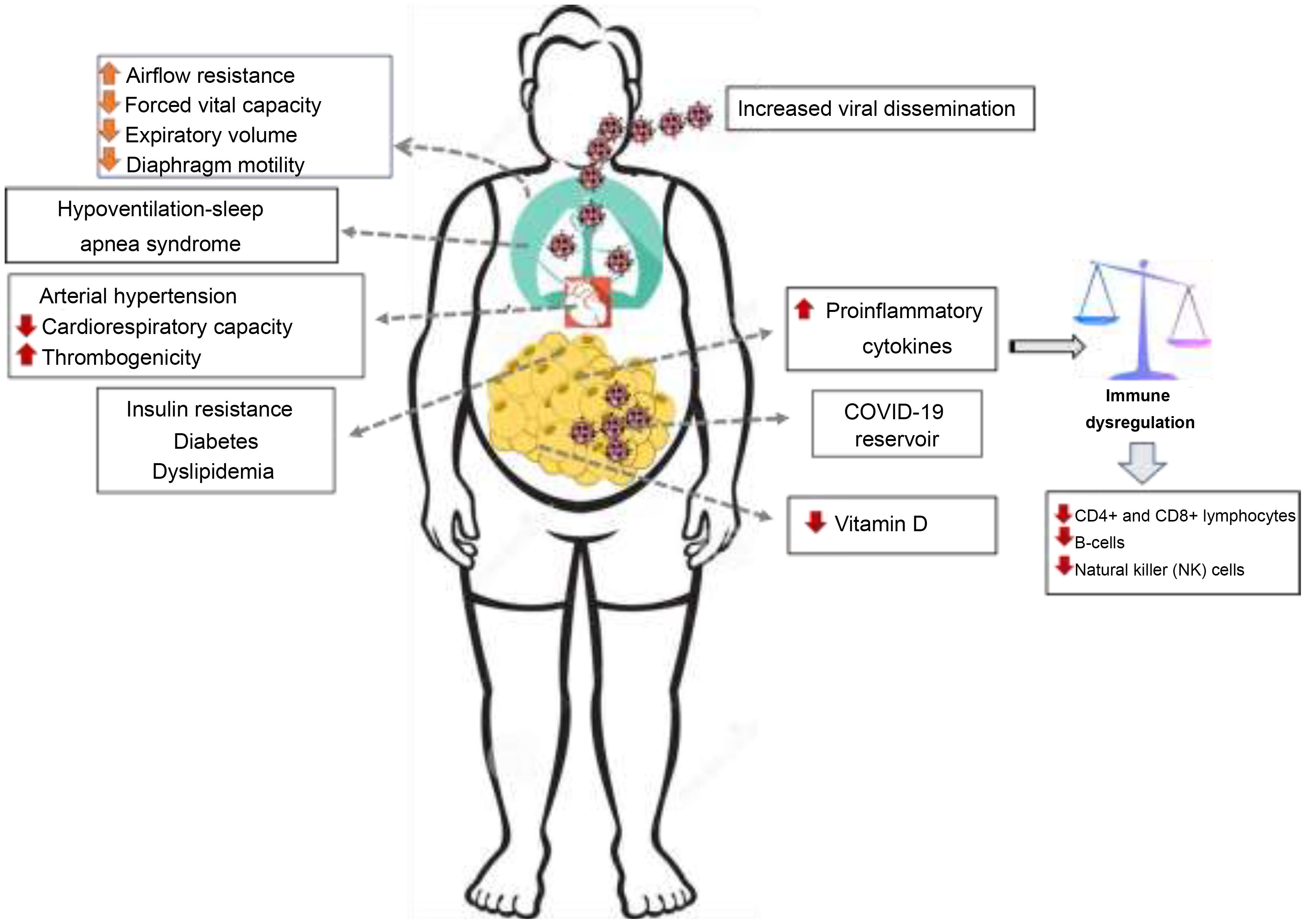 Obesity in the COVID era: A global health challenge | Endocrinología