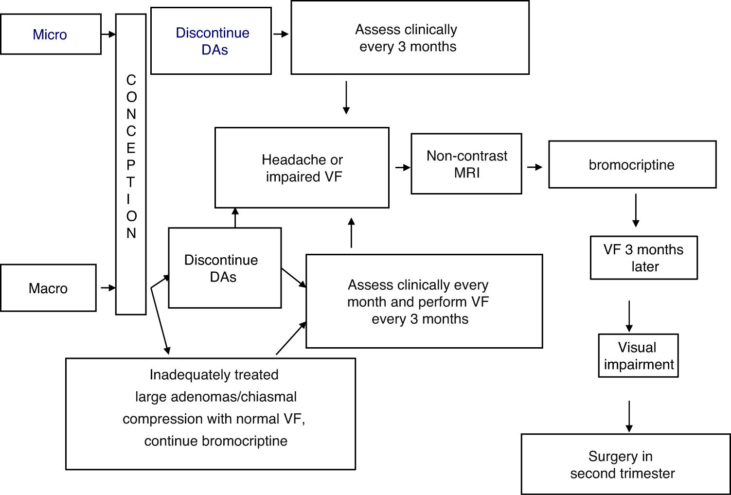 Pituitary disease and pregnancy | Endocrinología, Diabetes y Nutrición ...