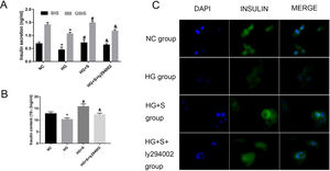The PI3K/Akt/FoxO1 signaling pathway mediated the effects of saponins on insulin secretion. INS-1 cells were treated with or without saponins or the PI3K inhibitor ly294002 for 24h. (A) Effects of saponins on GSIS and intracellular insulin content of cells in different groups. (B) Effects of saponins on intracellular insulin content of cells in different groups. (C) Insulin secretion in different groups as determined by immunofluorescence microscopy. Data are shown as the mean±SD of at least three independent experiments. Differences between two groups were compared using t-tests or ANOVA. *P<0.05 compared with the control group; #P<0.05 compared with the HG group; &P<0.05 compared with the HG+S group.