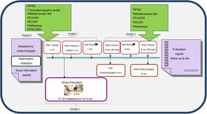 Structure of the T2DM optimisation HTEP.