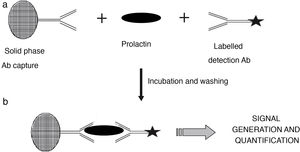 Diagram illustrating the principle of the immunometric immunoassay. Two antibodies specific for different epitopes of prolactin are used: a capture antibody, in this case bound to a solid phase matrix, together with a labelled detection antibody. During the incubation stage (a), reactive antibodies react with serum prolactin to form a sandwich. After a wash step to remove unbound material, the now bound detection antibody (b) generates a signal whose magnitude is directly related to the concentration of serum prolactin.