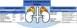 Genetic background of primary bilateral macronodular adrenal hyperplasia (PBMAH) ARMC5: armadillo repeat containing 5; CS: Cushing's syndrome; FAP: familial adenomatosous poliposis; MEN1: multiple endocrine neoplasia type 1, MCR2: adrenocorticotropic hormone receptor; PRKACA: protein regulatory subunit Kinase A; PDE11A: phosphodiesterase 11A; PDE8B: phosphodiesterase 8B; KDM1A: lysine (K)-specific demethylase 1 A; PBMAH: primary bilateral macronodular adrenal hyperplasia.