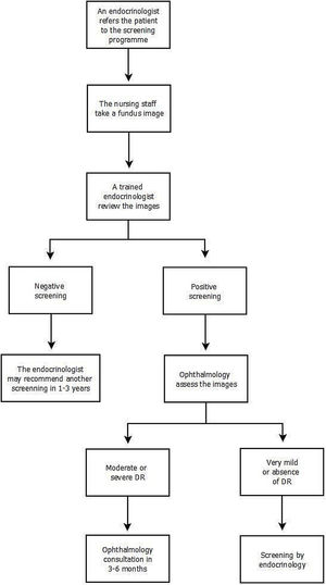 Flow chart of the diabetic retinopathy telemedicine screening program. DR, diabetic retinopathy.