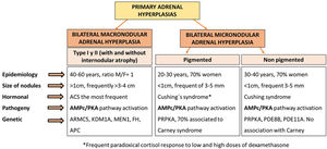 Types of primary adrenal hyperplasia