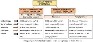 Types of primary adrenal hyperplasia