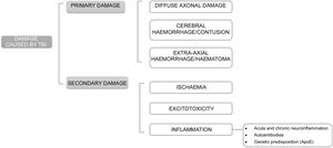 Pathophysiology of pituitary damage after TBI.