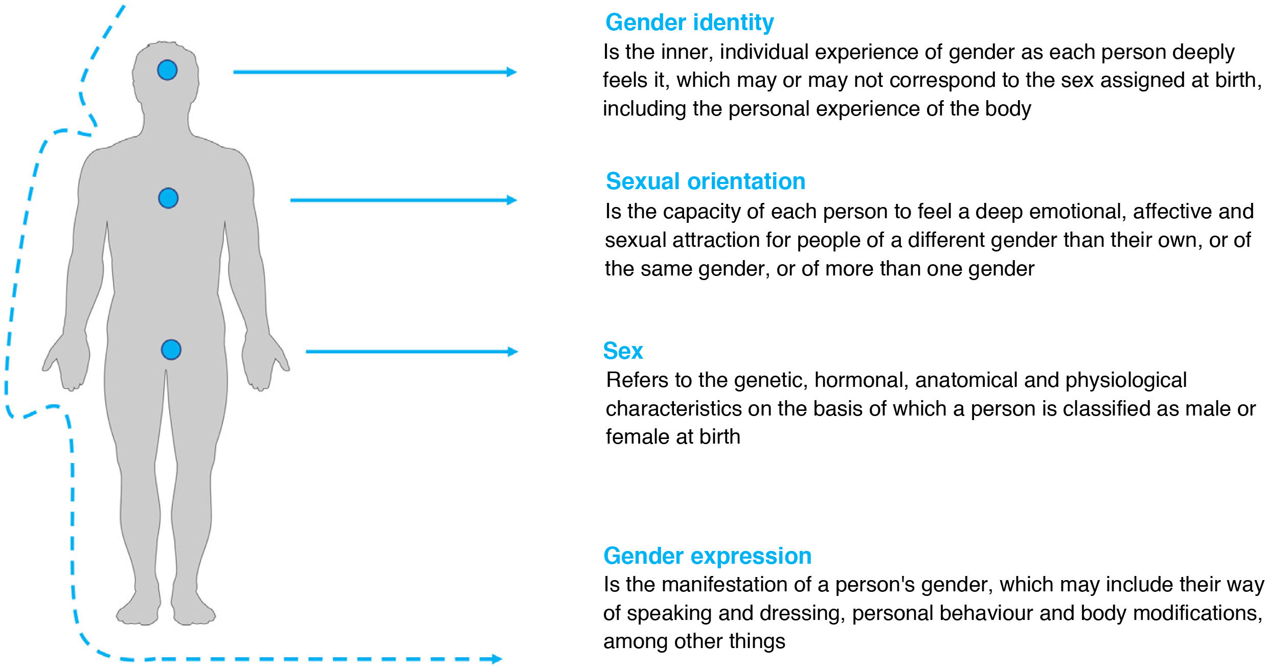 Gender identity: Current concepts and gender-affirming hormone 