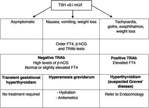 Differential diagnosis of thyroid hyperfunction in the first trimester.