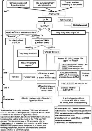 Diagnosis and management of hyperthyroidism during pregnancy (based on Alexander et al.1).