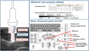Technical aspects of ultrasound. Description of ultrasonic wave property settings and basic ultrasound panel controls.