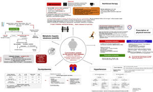 Comprehensive approach to people with type 2 diabetes mellitus (DM2): nutritional therapy, physical activity, hypertension, dyslipidaemia and metabolic hepatic steatosis. ELF: Enhanced Liver Fibrosis; N/E: not evaluated. 1If the result is compatible with F3–F4, consider serum tests for metabolic hepatic steatosis. 2Cut-off points: ELF™ 9.8 (NAFLD/ALD); FibroMeter 0.45 (NAFLD), Fibrotest 0.48 (NAFLD).