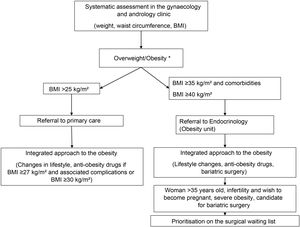 Diagram of the approach to the prevention and treatment of overweight or obesity associated with infertility.