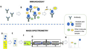Immunoassay (A–C). Example of competitive chemiluminescent immunoassay. A) The method is based on a specific antibody that recognises the analyte of interest. B) The antibody is incubated with the sample (containing the analyte of interest and other molecules) and with the labelled analyte. Analyte and labelled analyte compete for binding to the antibody. C) The chemiluminescent signal from the labelled analyte bound to the antibody is recorded. In the example, the recorded signal will be inversely proportional to the amount of analyte originally present in the sample. Mass spectrometry (D–H). Example of liquid chromatography with tandem mass spectrometry (LC-MS/MS). D,E) Extraction of the serum sample with organic solvent. This step cuts out possible interferers. F) Separation of sample components by liquid chromatography. G) Selection of the specific ions of the analytes. H) Representation of the results. The area of the chromatographic peak is directly proportional to the amount of analyte originally present in the sample.