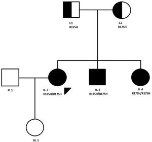 Pedigree of the family with MADD disease. The proband case is indicated with an arrow; circle and square symbols represent women and men, respectively; shaded symbols indicate the affected members; half-shaded indicate the carriers, Line 1 below symbols corresponds to the individual identification, line 2 indicates the mutation in the ETFDH gene, if present.