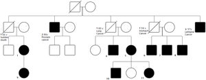Pedigree chart.