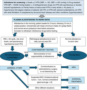 Diagnosis of primary hyperaldosteronism. HTN, hypertension; SBP, systolic blood pressure; DBP, diastolic blood pressure; BP, blood pressure; PH, primary hyperaldosteronism; PAC, plasma aldosterone concentration; AVS, adrenal venous sampling; MRA, mineralocorticoid receptor antagonists; ACC, adrenocortical carcinoma.