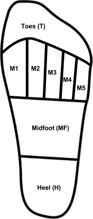 Anatomical regions of the footprint considered for the analysis. Abbreviations: M1–M5: area comprised under the 1st through 5th metatarsal heads. This figure shows the plantar footprint subdivided into areas of interest for the analysis.