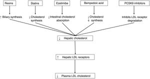 Main pharmacological mechanisms to reduce LDL cholesterol concentration. LDL: low-density lipoprotein PCSK9: proprotein convertase subtilisin/kexin type 9.