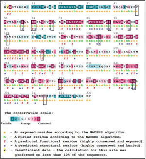 Consurf profile of MC4R protein residues. Value 1 indicates a high variability region. Value increases as the region becomes more conserved (all the way up to value 9).