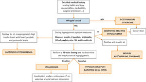 Diagnostic algorithm for suspected hypoglycemia in non-diabetic patients (modified from Galati SJ, Rayfield EJ. Endocr Pract 2014; 20:331–40). SU: sulfonylureas; anti-insulin ab: insulin autoantibodies; QX: surgery; US: ultrasound; NIPHS: non-insulinoma pancreatogenous hypoglycemia syndrome. * In case of analytical inconsistencies and/or on the basis of clinical suspicion, consider other etiologies, such as pheochromocytoma adrenal insufficiency, hypothyroidism, growth hormone deficiency, insulin-like growth factor 2 overproduction, dumping syndrome, GI disorders, liver disease and autonomic failure.