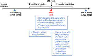 Study design and study time periods (overweight/obesity and obesity cohorts). The index date was defined as the patient
