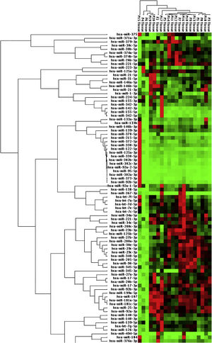Diagrama de heat map de perfis de expressão de microRNA de pacientes em amostras de tecido. P (paciente) 8,9,18,20 eram pacientes com tumor de glândula salivar maligno; os outros eram benignos.