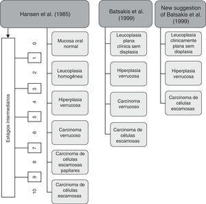 Estágios histológicos de progressão para carcinoma. Adaptado de Ghazali et al. (2003).9