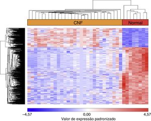 Heat map da análise do agrupamento hierárquico para genes diferencialmente expressos (GDE).