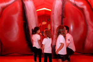 Visão do interior do inflável da laringe gigante, onde as crianças observam as pregas vocais.