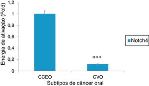 Análise de RT‐PCR de Notch4 em diferentes subtipos de câncer oral (CCEO e CVO) mostra uma regulação descendente de Notch4 em amostras de CVO. A análise densitométrica foi feita com o software ImageJ 1.47v e os valores foram normalizados para β Actina (*** p < 0,001, teste t de Student).