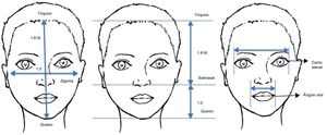 Medidas e proporções. Pontos anatômicos, medidas e proporções que são usados para análise facial.