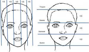 Proporções de altura e largura da face. A face é dividida em cinco partes iguais no plano vertical e três partes iguais no plano horizontal.