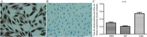 A, Teste Brdu de CPNs (coloração imunoquímica celular) (×400). Teste Brdu de CPNs, (a) Grupo ctrl‐; (b) Grupo RA; (c) Grupo ctrl+. Os núcleos das células positivas exibiram partículas marrons e os núcleos foram corados em azul com hematoxilina. B, Razão de células Brdu + em CPNs. Brdu‐positive cell rate of cochlear neural progenitor cells=Taxa de células positivas para Brdu de células progenitoras neurais cocleares.