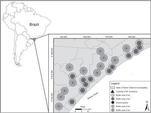 Location of the 24 studied landscapes (circles) in southern Brazil. Landscapes were centered at twelve sites in which Myiopsitta monachus established colonies (triangles) and twelve “control” sites in which the species was absent (points). Two buffer areas (with radius of 2 or 3km) were used to measure landscape composition surrounding each site.
