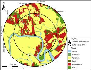 Example of map classification to quantify landscape composition. The amount of each landcover class was calculated within two circular buffers areas (with 2 or 3km radius), centered at the colony or potential nesting sites for Myiopsitta monachus.