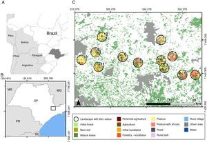 Position and composition of sampled landscapes. (A) South America with São Paulo state in dark gray; (B) Position of the study region (square) within São Paulo state; (C) 2km radius sampled landscapes with mapped land cover color legends.
