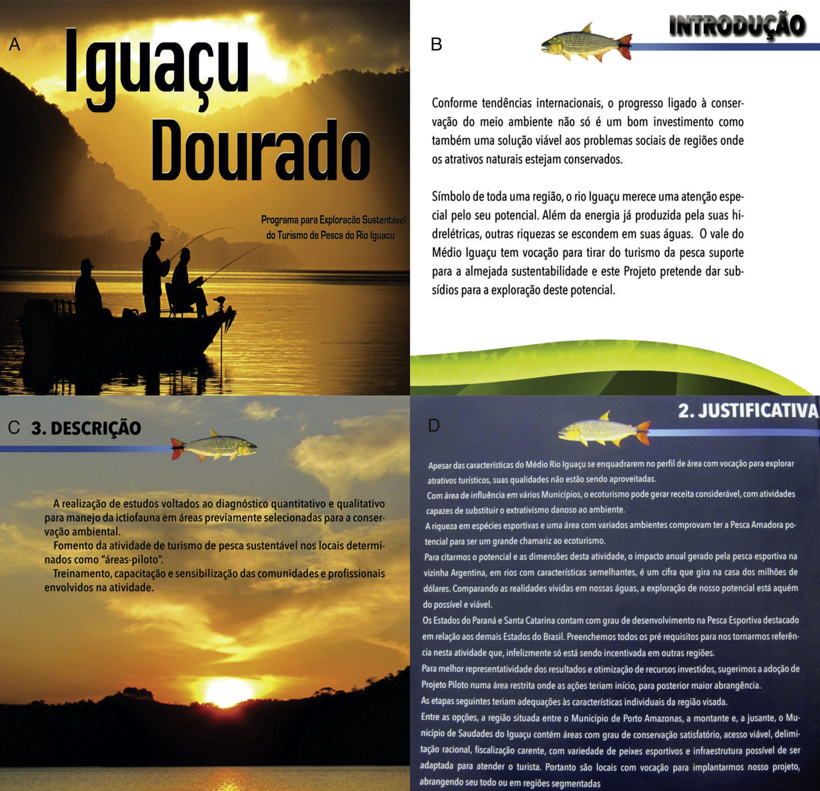 Imminent threat of the predator fish invasion Salminus brasiliensis in ...