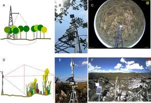 Brazilian sites from e-phenology network and their different phenology monitoring setups for woody and open vegetation: (A) sketch of the hemispherical lens camera mounting design for forest canopy; (B) camera set up in the field; (C) sample image captured by the hemispherical lens digital camera in the cerrado sensu stricto vegetation (Itirapina, SP); (D) sketch of the camera mounting design for a landscape perspective; (E) camera set up in the field, (F) sample image of the heterogeneous landscape in the Serra do Cipó mountain range (Santana do Riacho, Minas Gerais State, Brazil).